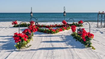 Gulf Shores Beach Wedding Px 4934
